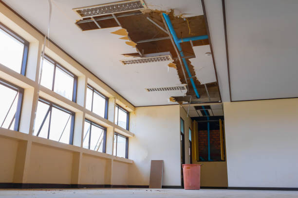 Best Emergency water damage restoration  in Greilickville, MI