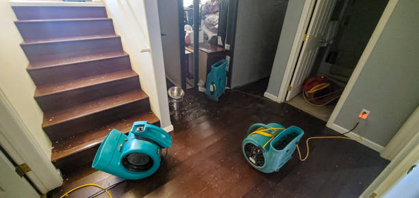 Best Water damage cleanup near me  in Greilickville, MI