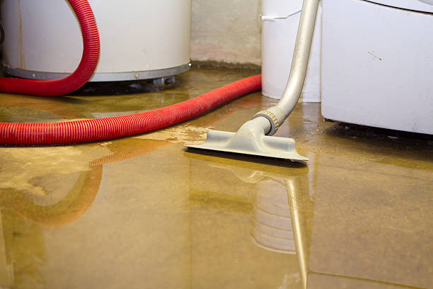 Best Water damage restoration services  in Greilickville, MI