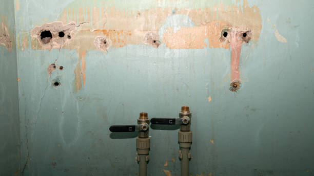 Best Water damage restoration company  in Greilickville, MI